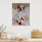 Druck - Komfort - Zwei Spaniels Poster (Küche)