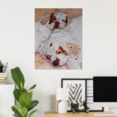 Druck - Komfort - Zwei Spaniels Poster (Heimbüro)