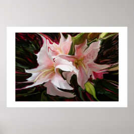 DRUCK "MAJESTIC STARS" POSTER