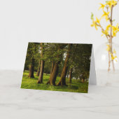 Druck uralter Eichenwälder Karte (Gelbe Blume)