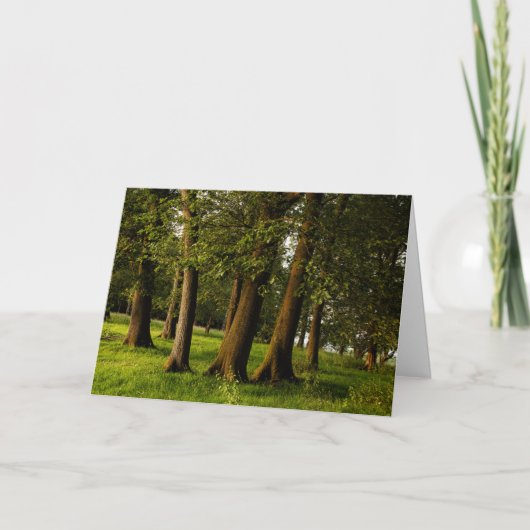 Druck uralter Eichenwälder Karte (Vorderseite)