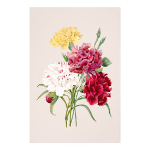 Druck von alten Nelkenblumen
