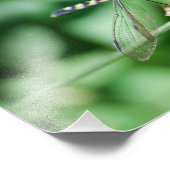 Druck von Eastern Pondhawk Dragonfly (Ecke)