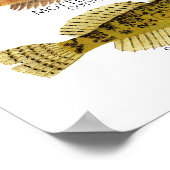 Druck, Wert Poster Papier (matt) (Ecke)