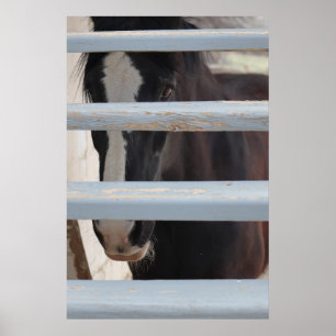 Druck, Wertposter-Papier (Halbglanz) Poster