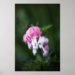 Druckausgabe für abgebrochene Herzen Poster