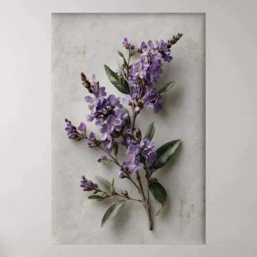 Druckbare Dampiera-Wandkunst, Antike Blumenfeder Poster (Vorne)