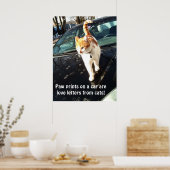 Drucke auf einem Auto sind Lieben von Katzen (Küche)