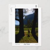 Drucke für Feldarbeit Postkarte (Vorne/Hinten)