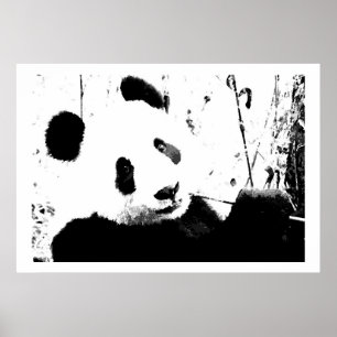 Drucke von Black & White Panda Face Posters
