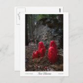 Drucke von Schneeblocken Postkarte (Vorne/Hinten)