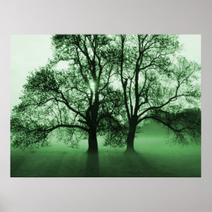 DRUCKEN - 2 große Bäume grün Poster