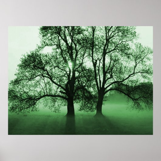 DRUCKEN - 2 große Bäume grün Poster (Vorne)