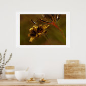 DRUCKEN "GOLDEN LILIEN" POSTER (Küche)