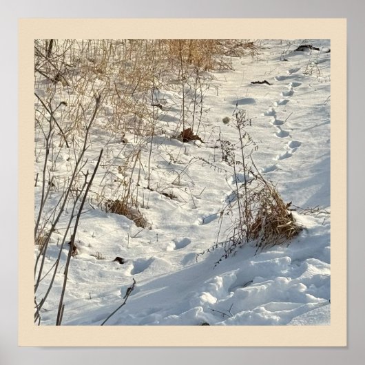 Drucken im Schneeplakat Poster (Vorne)
