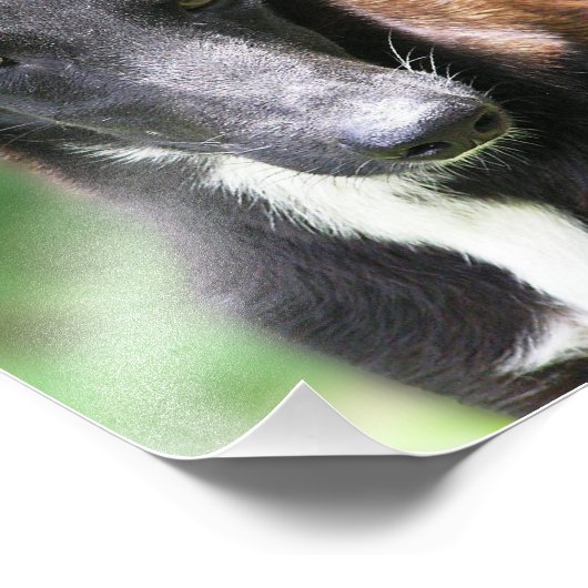 Drucken in benutzerdefinierter Größe 8 x 10 Foto (Ecke)