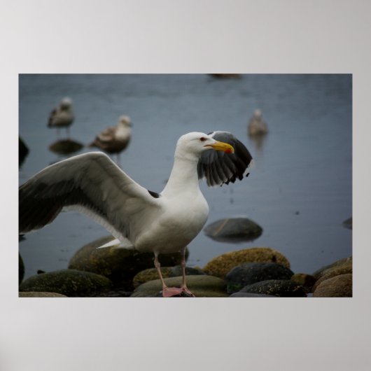 Drucken nicht stören poster (Vorne)
