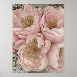 DRUCKEN   Peonies I - 24in x 32in Poster