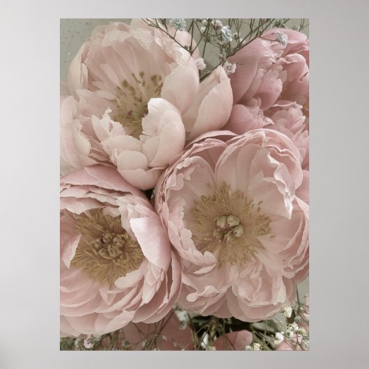 DRUCKEN | Peonies II - 24in x 32in Poster (Vorne)