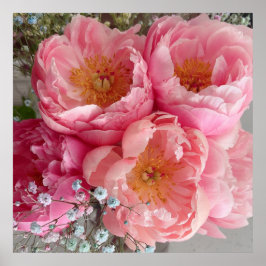 DRUCKEN | Peonies II (30"x30") Poster