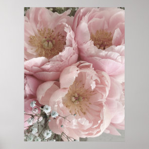 DRUCKEN   Peonies III - 24in x 32in Poster