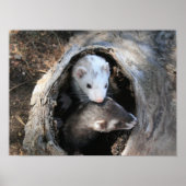 Drucken Poster (Vorne)