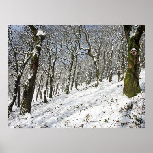 Drucken Sie die Leinwand der Macclesfield Forest W Poster (Vorne)