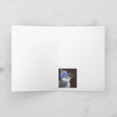 Drucken Sie die Nuthatkarte. Karte (Innenseite)