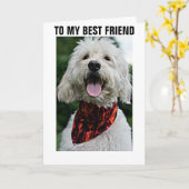 DRÜCKEN SIE FÜR "BESTEN FREUNDTAG". KARTE (Gelbe Blume)