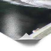 Drucken Sie Ihr bestes seitliches Eichhörnchen-Fot Fotodruck (Ecke)