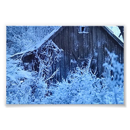 DRUCKEN SIE IHRE EIGENEN FOTOS FOTODRUCK (Vorne)