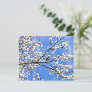 Drucken von Aquarellfarben in einer der Branchen -