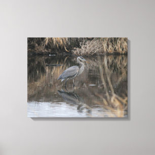 Drucken von Great Blue Heron Canvas Leinwanddruck