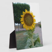 Drucken von Sonnenblumen Fotoplatte (Seite)