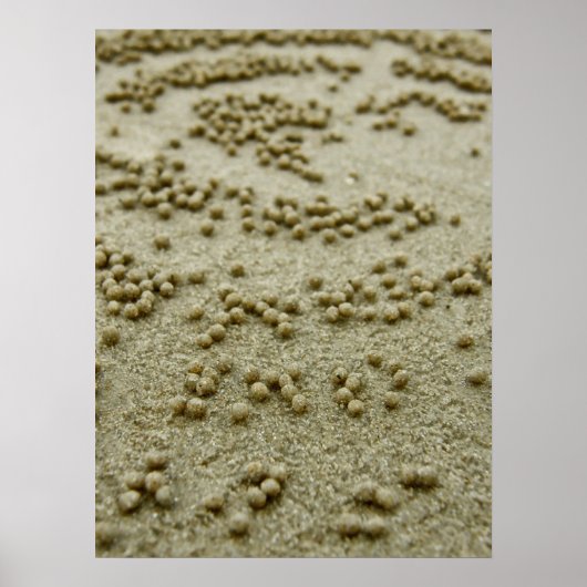 Drucken von Strandvisionen Poster (Vorne)