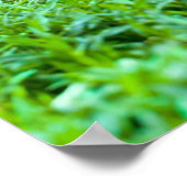 Drucken, Werteplakatpapier (Matte) Poster (Ecke)