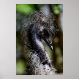 Drucken, Werteplakatpapier (Matte) Poster