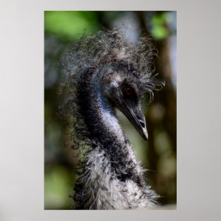 Drucken, Werteplakatpapier (Matte) Poster