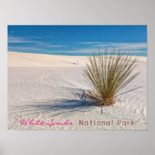 Drucken, Werteplakatpapier (Matte) Poster