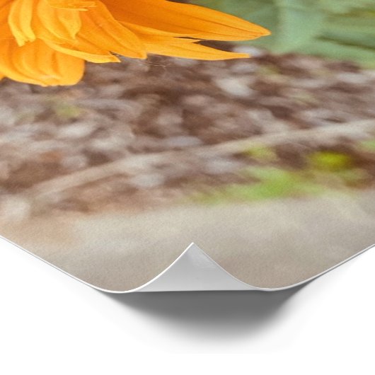 Drucken, Werteplakatpapier (Matte) Poster (Ecke)