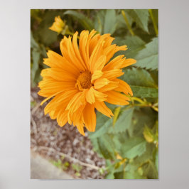 Drucken, Werteplakatpapier (Matte) Poster