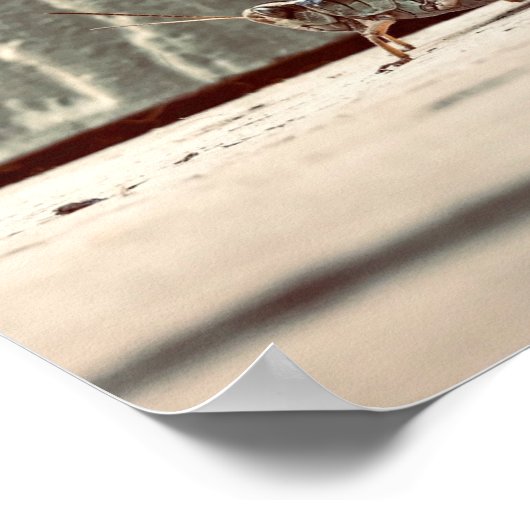 Drucken, Werteplakatpapier (Matte) Poster (Ecke)