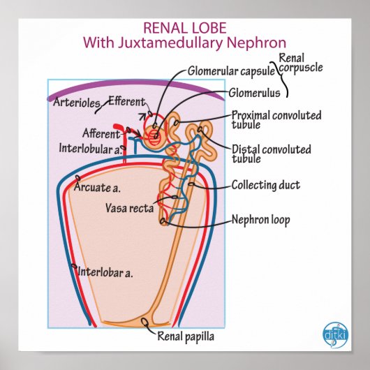 Drucken, Werteplakatpapier (Matte) Poster (Vorne)
