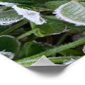 Drucken, Werteplakatpapier (Matte) Poster (Ecke)