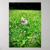 Drucken, Werteplakatpapier (Matte) Poster (Vorne)