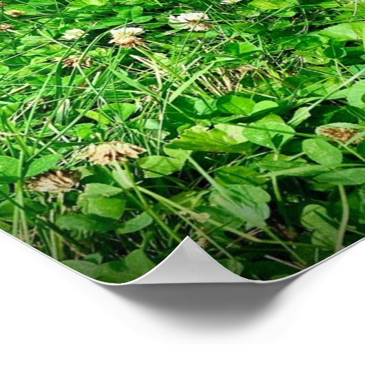 Drucken, Werteplakatpapier (Matte) Poster (Ecke)