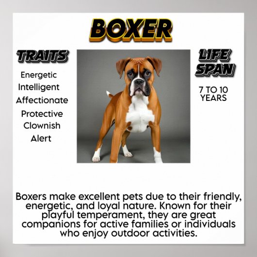 Drucken, Werteplakatpapier (Matte) Poster (Vorne)