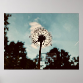 Drucken, Werteplakatpapier (Matte) Poster