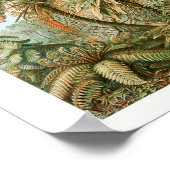 Drucken, Werteplakatpapier (Matte) Poster (Ecke)