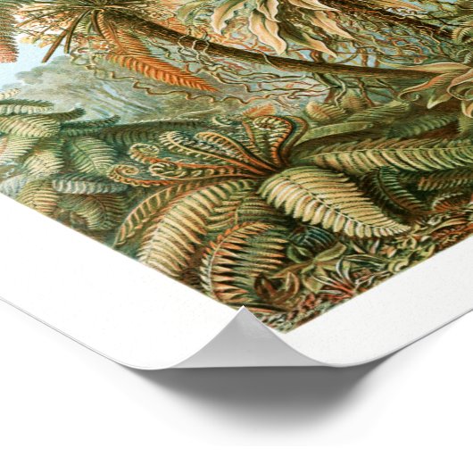 Drucken, Werteplakatpapier (Matte) Poster (Ecke)